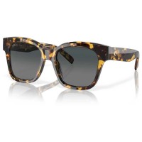 слънчеви,очила,слънчеви,очила,costa,nusa,woman,polarized,sunglasses,golden,(tortoise,tortoise)