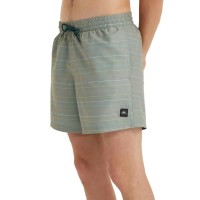 бански,гащета,мъжки,бански,костюми,o´neill,jack,cali,first,15´´,swimming,shorts,green,first,name,stripe,(green,grey)