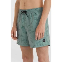бански,гащета,мъжки,бански,костюми,o´neill,mix&match,cali,print,15´´,swimming,shorts,green,(green,vintage,surfer)