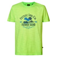 тениска,мъжки,тениски,petrol,industries,tsr661,short,sleeve,t,shirt,green,gecko,(green)