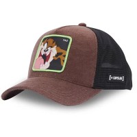 шапка,всички,шапки,capslab,taz3,ct,cap,brown,(brown,black)