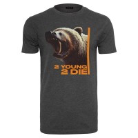 тениска,мъжки,тениски,mister,tee,2,young,2,die,short,sleeve,t,shirt,charcoal,(grey)