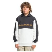 суичър,детски,блузи,quiksilver,knowledge,area,hoodie,white,grey,(snow,white)