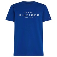 тениска,мъжки,тениски,tommy,hilfiger,big,short,sleeve,t,shirt,wedge,blue,(blue)