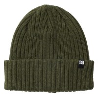 шапка,всички,шапки,dc,shoes,fish,n,destroy,2,beanie,green