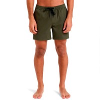 бански,гащета,мъжки,бански,костюми,quiksilver,everyday,flex,volley,15´´,swimming,shorts,grape,leaf,(green)