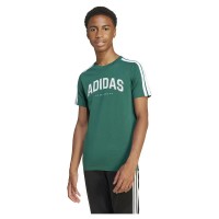 тениска,детски,тениски,adidas,codes,collegiate,graphic,short,sleeve,t,shirt,collegiate,green,(green)