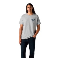 тениска,мъжки,тениски,levi´s,®,graphic,short,sleeve,t,shirt,grey,(coolmax,ssnl,hl,logo,1806)