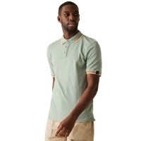 мъжки,блузи,с,яка,regatta,adryan,short,sleeve,polo,glacier,(green)