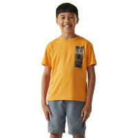 тениска,мъжки,тениски,дамски,тениски,regatta,alvarado,ix,short,sleeve,t,shirt,yellow,(bright,marigold)