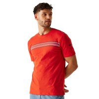 тениска,мъжки,тениски,regatta,ravia,short,sleeve,t,shirt,poppy,red,(red)
