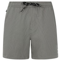 бански,гащета,мъжки,бански,костюми,protest,wytona,swimming,shorts,soil,grey,(grey)