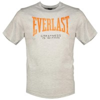 тениска,мъжки,тениски,everlast,short,sleeve,t,shirt,artic,melange,(grey)