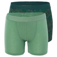 боксерки,детско,бельо,martes,essential,nicko,boxers,2,units,green,(green,dino)