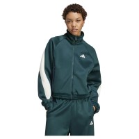 яке,дамски,анцузи,adidas,stadium,tracksuit,jacket,aurora,ivy,off,white,(green)