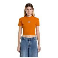 тениска,дамски,тениски,dickies,maple,valley,short,sleeve,t,shirt,autumn,maple,(orange)
