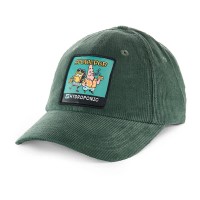 шапка,всички,шапки,hydroponic,sb,duo,cap,teal,green,corduroy