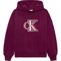 суичър,детски,блузи,calvin,klein,ig0ig03068,hoodie,purple,(polar,fig)