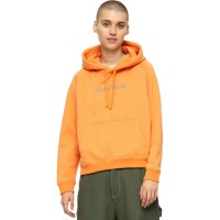 суичър,дамски,блузи,santa,cruz,yin,yang,strip,hoodie,orange,(faded,coral)