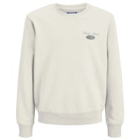 блуза,детски,блузи,jack,&,jones,dover,graphic,sweatshirt,beige,(antique,white)