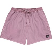 бански,гащета,мъжки,бански,костюми,quiksilver,everyday,surfwash,volley,15´´,swimming,shorts,purple,(grape,shake)