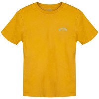 тениска,мъжки,тениски,дамски,тениски,billabong,arch,wave,short,sleeve,t,shirt,yellow,(honey)