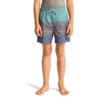 бански,гащета,детски,бански,костюми,billabong,spinner,swimming,shorts,blue,(charcoal,grey)
