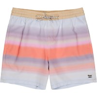 бански,гащета,мъжки,бански,костюми,billabong,sundays,swimming,shorts,multicolor,(fog)