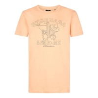 тениска,мъжки,тениски,дамски,тениски,petrol,industries,b,1060,tsr861,short,sleeve,t,shirt,orange,(tropical,orange)