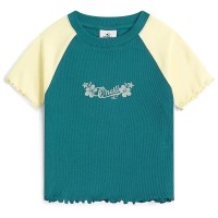 тениска,мъжки,тениски,дамски,тениски,o´neill,color,block,rib,short,sleeve,t,shirt,blue,(botanical,heat,colour,block)