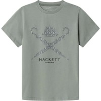тениска,мъжки,тениски,дамски,тениски,hackett,tiger,logo,short,sleeve,t,shirt,green,(sage,green)
