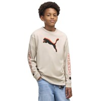 тениска,мъжки,тениски,дамски,тениски,puma,street,relaxed,long,sleeve,t,shirt,beige,(silver,fog)