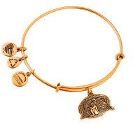 бижутерия,alex,and,ani,health,guard,bracelet,golden,(gold)