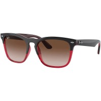 слънчеви,очила,слънчеви,очила,ray,ban,rb44876631135,54,18,145,sunglasses,black,(multicolor)