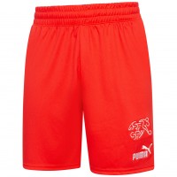мъжки,къси,панталони,switzerland,puma,men,home,short