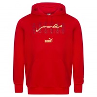 мъжки,суичър,egypt,puma,ftblculture,hood,men,hoodie