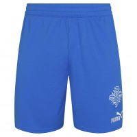 мъжки,къси,панталони,мъжки,къси,панталони,iceland,puma,men,home,shorts