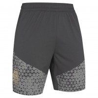 мъжки,къси,панталони,olympique,de,marseille,puma,men,training,shorts