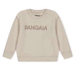 детска,блуза,промоция,на,зимни,облекла,детски,облекла,pangaia,365,logo,sweatshirt,infants,stone