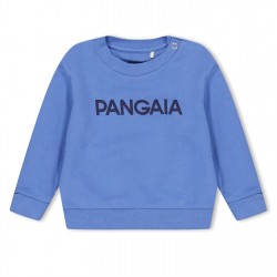 детска,блуза,промоция,на,зимни,облекла,детски,облекла,pangaia,365,logo,sweatshirt,infants,summit,blue