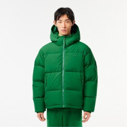 облекла,на,разпродажба,мъжки,якета,lacoste,lacoste,bh3522,pffr,sn99,rocket