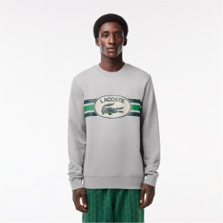 облекла,на,разпродажба,мъжки,пуловери,lacoste,lacoste,sh1420,jmpr,sn99,silver,chine