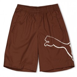 разпродажба,puma,детски,къси,панталони,бански,костюми,за,момчета,детски,облекла,puma,boy,bermudas,juniors,brown