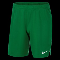 разпродажба,nike,мъжки,къси,панталони,мъжки,долнища,размер+,лека,атлетика,мъжко,фитнес,облекло,всички,фитнес,облекла,nike,tm,spk,srt,sn99,pine,green,wht