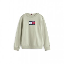 детски,облекла,tommy,hilfiger,tommy,scrpt,flg,crew,jn53,misty,sage,m1c