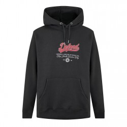 суичър,мъжки,горнища,с,качулка,dfnd,london,l,divd,hoodie,sn99,grey