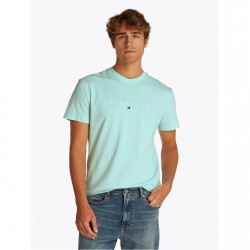 тениска,мъжки,тениски,tommy,jeans,tjm,reg,linear,logo,tee,ext,spring,mint
