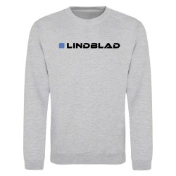 Блуза AWD Adults Printed F1 Sweatshirt - Lindblad блуза,мъжки,горнища,размер+,awd,adults,printed,f1,sweatshirt,lindblad