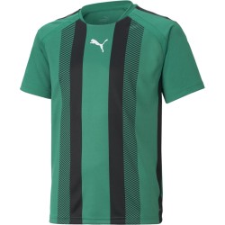 Детска тениска Puma Teamliga Striped Jersey Jr T-Shirt Unisex Kids - PGreen-Blk-Wht детска,тениска,детски,тениски,футбол,футболни,горнища,puma,teamliga,striped,jersey,jr,t,shirt,unisex,kids,pgreen,blk,wht