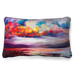 подаръци,и,играчки,аксесоари,на,разпродажба,the,art,group,scott,naismith,cushion,statrocumulus